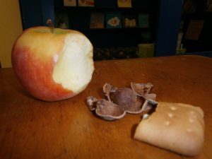 Parcours musique : CP et CE1-CE2