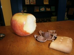 Parcours musique : CP et CE1-CE2