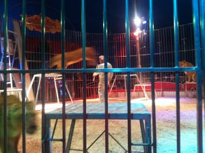 Parcours musique : CP et CE1-CE2