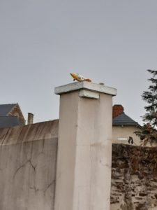 Piscine CM2